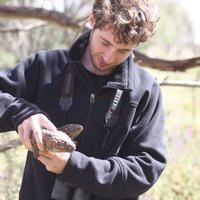 Brendan Alting (@brendanalting) 's Twitter Profile