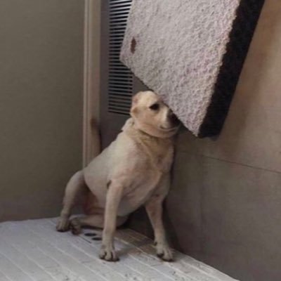 tonywalker's profile picture. Present.