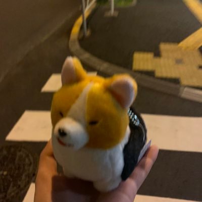 文学部