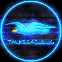 Talk Seagulls (@talkseagulls) 's Twitter Profile Photo Talk Seagulls (@talkseagulls) 's Twitter Profile Photo