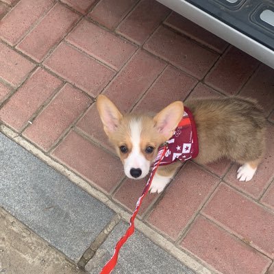 Richard65245610's profile picture. 