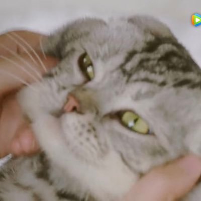 c960412's profile picture. 