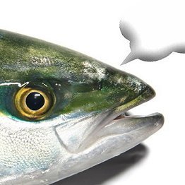 バンコクで猫とティーンエイジャーと暮らしてます。南国よろず屋ままかの社長。よく小難しい話をつぶやくので怖いと思われてるけどめっちゃいい人だょ。双子17と娘15と夫と私とチョビとロティの大家族。歌って踊って絵を描く文書き。社会・人権・差別について。2015乳がん罹患。プチ留学主宰。
#NoWar