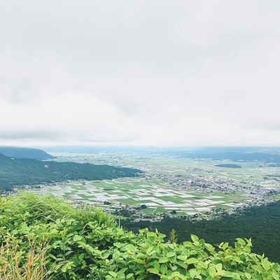 紅生姜と七味と濃いプリンが好きです