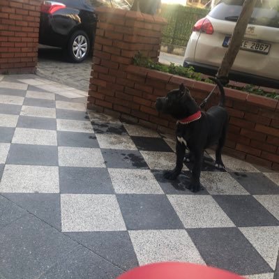 serseimben's profile picture. Sabırla titreyerek öyle yalın. Ve kimsesiz olmadan oturacağız ayrılığın Kıyısında