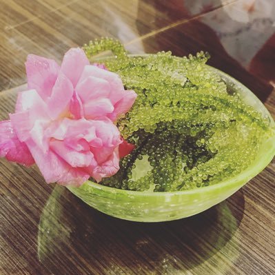 sora_travelboy's profile picture. 【セブ島を拠点とするフリーランスブロガー】イギリスへの修学旅行を機に海外生活に憧れる➡️それを実現すべくブログスタート➡️ブログで稼げるようになってセブ島を拠点に活動🏝ブログで稼ぐための文章術を発信中
コロナが収まり次第、世界一周の旅に出発します。