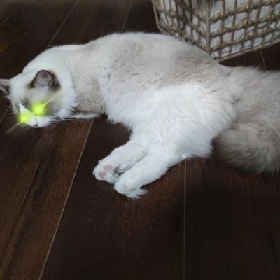 spacex2050's profile picture. 