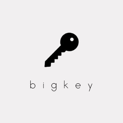 BigBigkey's profile picture. NFT&snkrs