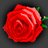 BullfighterNEON's profile image