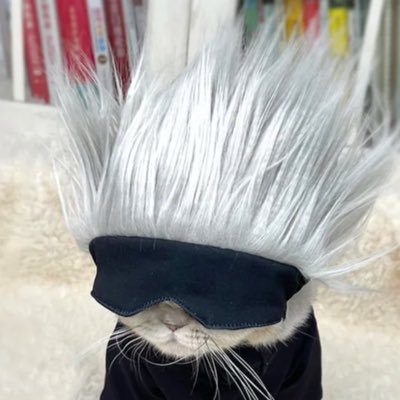 ˙ ͜ʟ˙さんのプロフィール画像