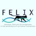 ERC Felix (@felix_erc) Twitter profile photo ERC Felix (@felix_erc) Twitter profile photo