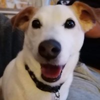 Norman D Landings (@bendeetoy) 's Twitter Profile Photo Norman D Landings (@bendeetoy) 's Twitter Profile Photo