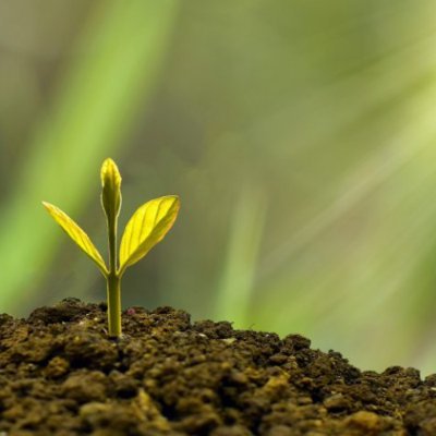 LympGeorge's profile picture. 