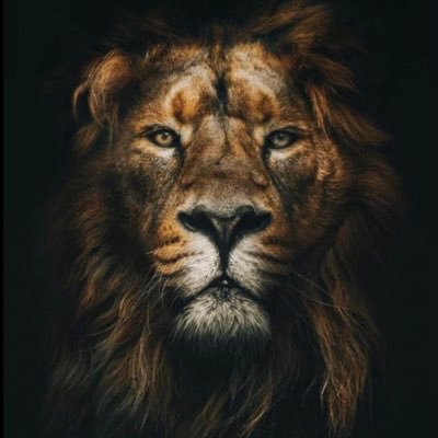 alphamindset4's profile picture. Go check out our bio