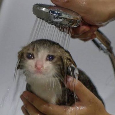 w_01110111's profile picture. kucing nangis