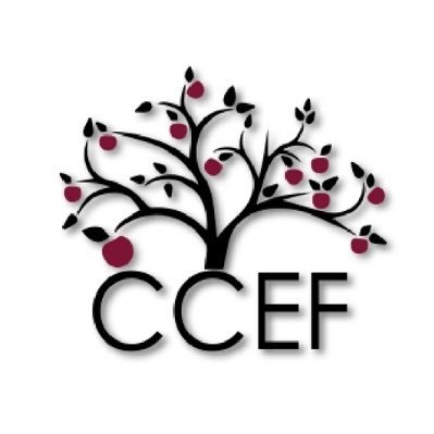 CCEdFoundation Profile Picture