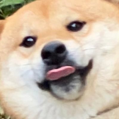 kochan_dayoo's profile picture. 