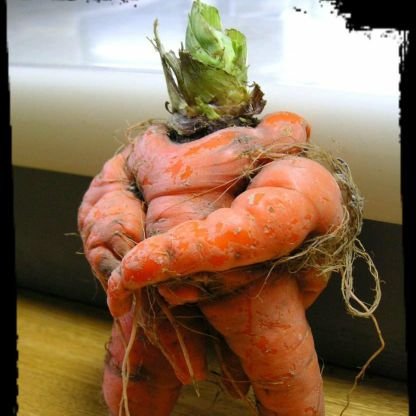 Carrot King 🐀