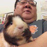 CAPYBARA LAND (Cafe & Petting Zoo)カピバランドPUIPUI(@CapybaraLand) 's Twitter Profile Photo