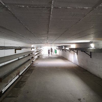 boxinbox1989's profile picture. Let’s F**k IT