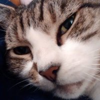 Guy's Channel (@politic56721677) 's Twitter Profile