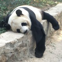 Bill_TP (@bill_tp) 's Twitter Profile