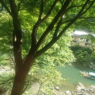 ほんの小さな幸せを感じながら、過ごせたら良いのです。贅沢をしたい訳でもなく、人を愛し、自然を愛し、自由に小さな夢を叶えながら過ごせたら十分なんです。今の願いは、ワクチンの付くものは全て中止‼️この世の中の嘘に気付いて目覚めて欲しいです。真の日本人の覚醒の為に…真実を伝えて行きます‼️主は、Facebookで発信中‼️