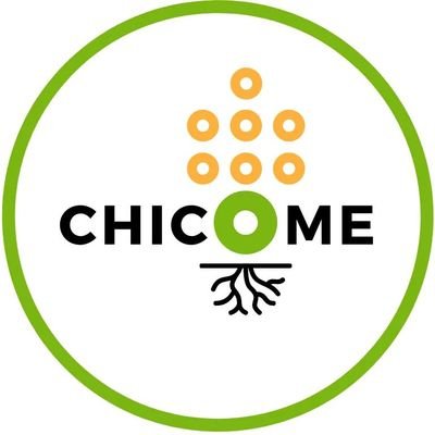 Chicome_'s profile picture. Compartimos saberes.