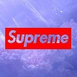 yuya24097989's profile picture. あんま使ってないです笑笑