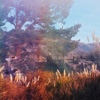 Gregory Uhlmann (@gregoryuhlmann) 's Twitter Profile