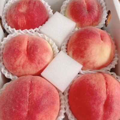 夜久涙さんのプロフィール画像