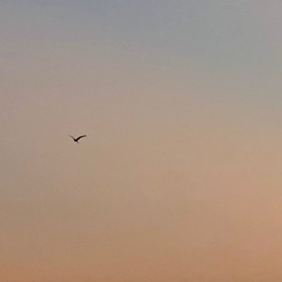 hejunhw's profile picture. 