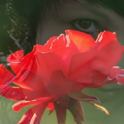 Pasjonatka fotografii 🌹💕🌹
Zdjęcia mojego autorstwa 🌹📸🌹
Dziękuję za obserwację 💚🌹