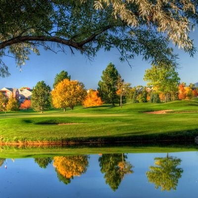 ReguesReques's profile picture. 