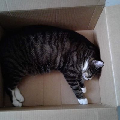 anamarieus111's profile picture. 