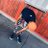 Juniormatseke23's profile image