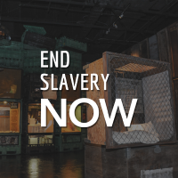End Slavery Now(@EndSlaveryNow) 's Twitter Profileg