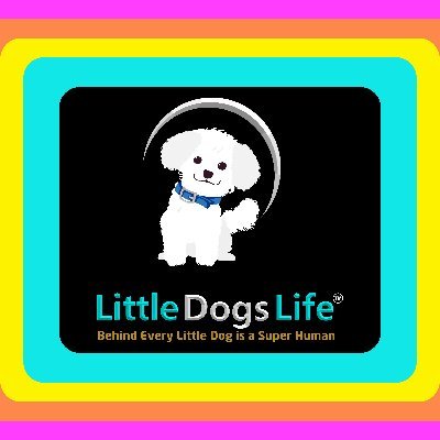 #LittleDogsLife™ is an integrated community platform with a unique proprietary app designed for small breed dog owners and their little dogs!