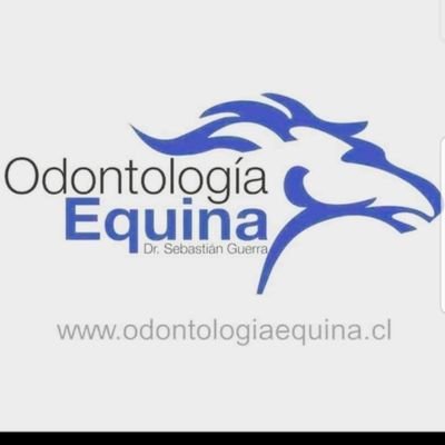 Med. Vet. Phd, MgEd. Academico y expositor. SGVet Servicios odontologicos para caballos desde 2004.