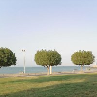 Hu3354f (@hu3354f) Twitter profile photo