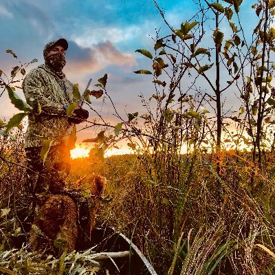 BMRolly's profile picture. 