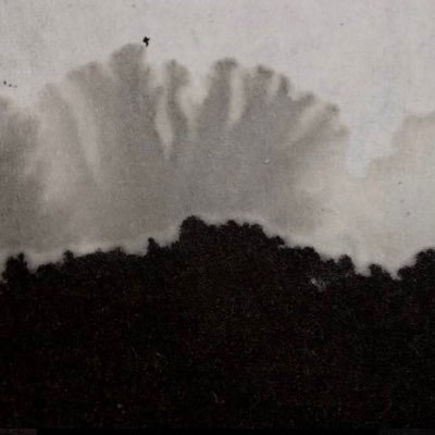 Giacoshanshui's profile picture. Painter and NFT creator/collector. Previous account: fumojako
Member of @shanshuiproject