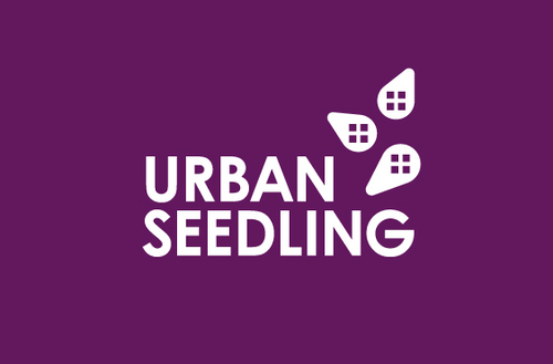 Urban Seedling