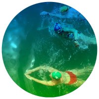 swimmingalongwaytogether (@swimming_along) 's Twitter Profile