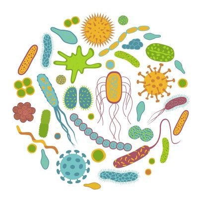 Official Twitter account of the MicroBIOta UGR Lab 💩🦠 we share our and related research updates. @ffarmaciaUGR @CanalUGR. #GutMicrobiota #Toximicrobiomics