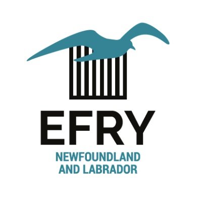 EFRY NL is a new grassroots, non profit organization in NL supporting and advocating for criminalized and incarcerated women & gender diverse people. (she/her)