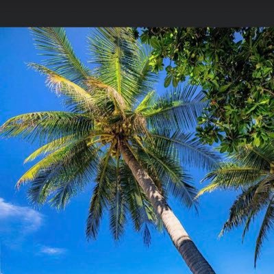 eugene_paradise's profile picture. Hot 26/2”Bikram method” yoga 90 minutes