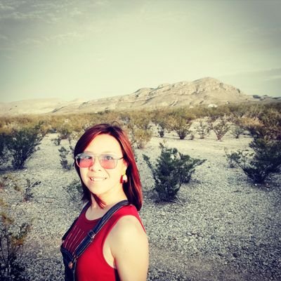 vandp814's profile picture. 