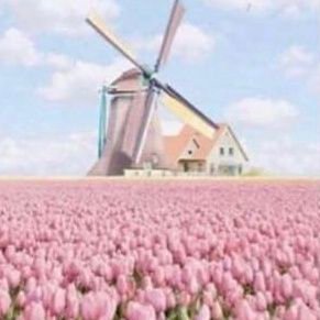 pr0rexi's profile picture. tw: every fucking -spo, gross bodychecks  ⚠
cw: Fat🐷
hw: 180🤮
ugl 110lbs👼
hight 5' 9 🧸
she/they 🌸