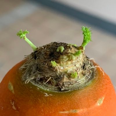 Leenux6T's profile picture. 